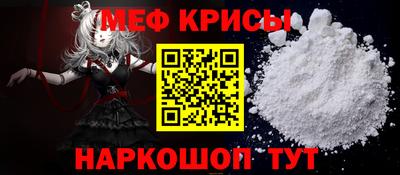 стафф Кингисепп