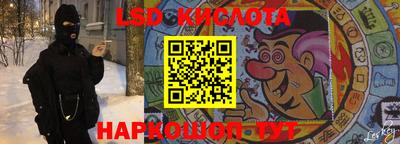 стафф Кингисепп