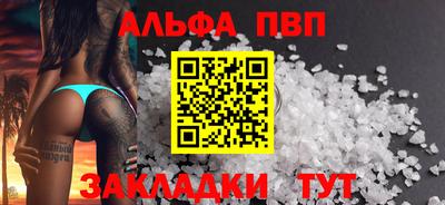 стафф Кингисепп