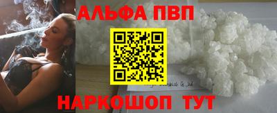 стафф Кингисепп
