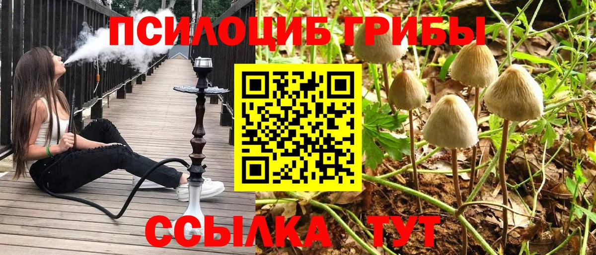 Галлюциногенные грибы GOLDEN TEACHER Краснознаменск