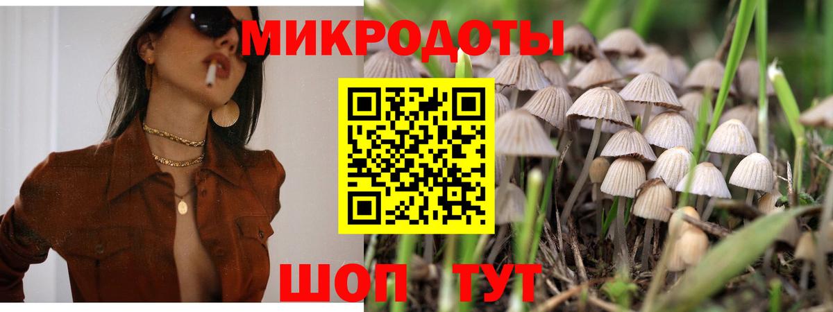 Галлюциногенные грибы MAGIC MUSHROOMS  дарнет шоп  Краснознаменск  Вход с VPN 